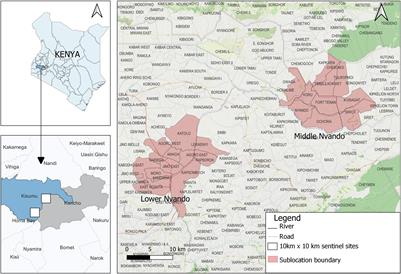 Asset-Based Adaptation Project Promotes Tree and Shrub Diversity and Above-Ground Carbon Stocks in Smallholder Agroforestry Systems in Western Kenya